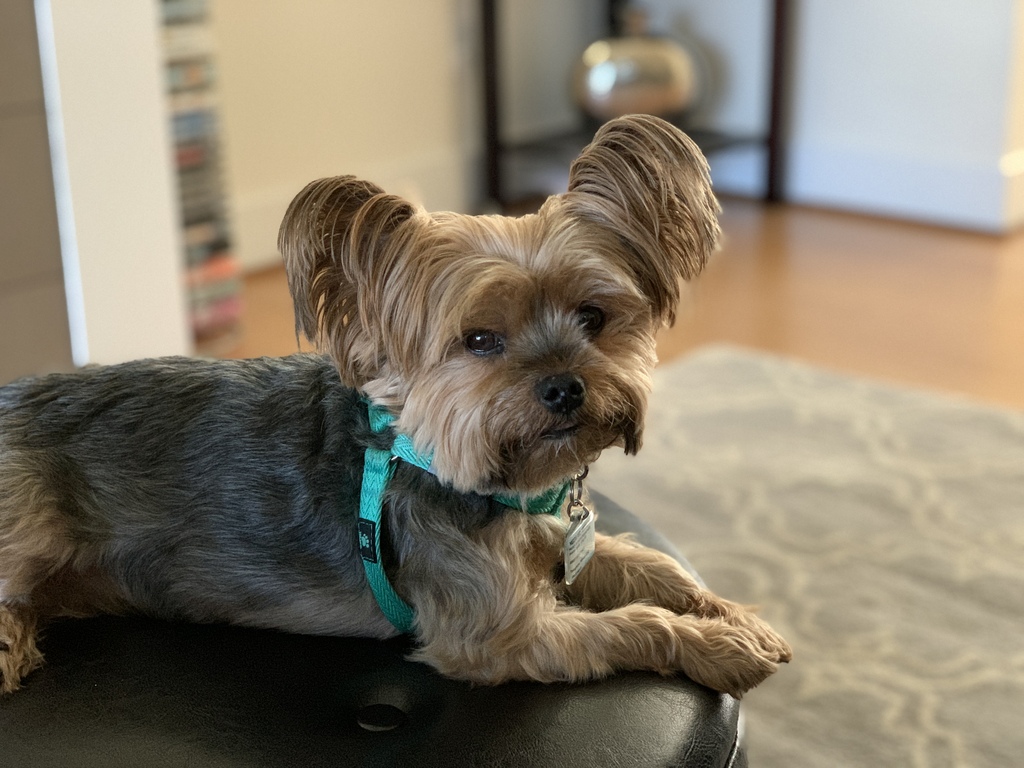 Henry Kamichoff: images/487F7F2F-5D3B-4AF7-AD0B-58B5D3C1D404.jpg