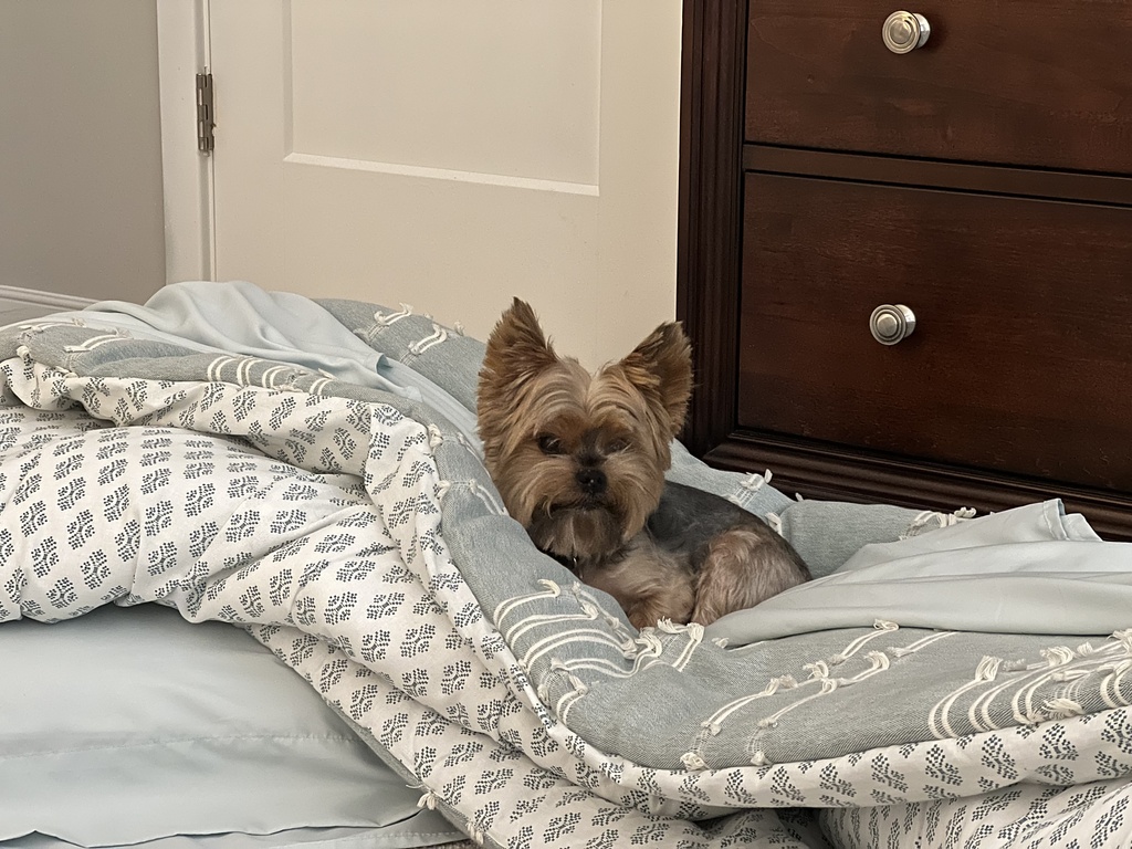 Henry Kamichoff: images/IMG_1186-1.jpg